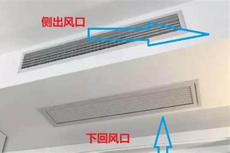 庭院种什么树风水好