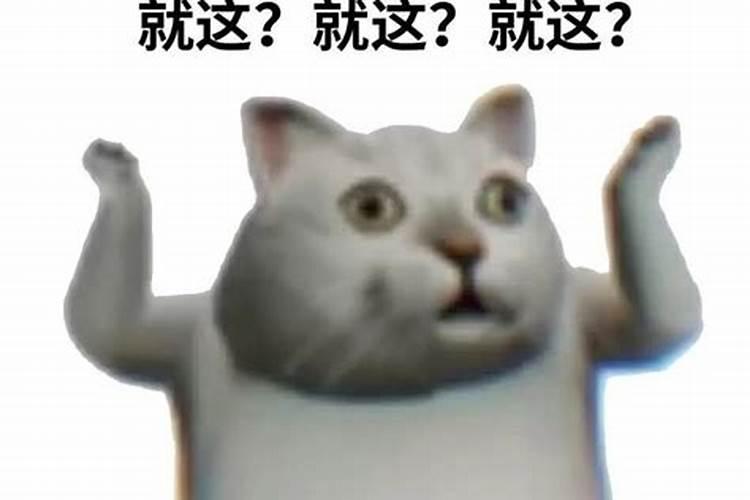 农村白事看风水的过程