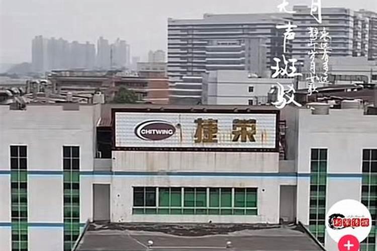 大龙山乌龙溪景区有哪些游玩攻略值得推荐？