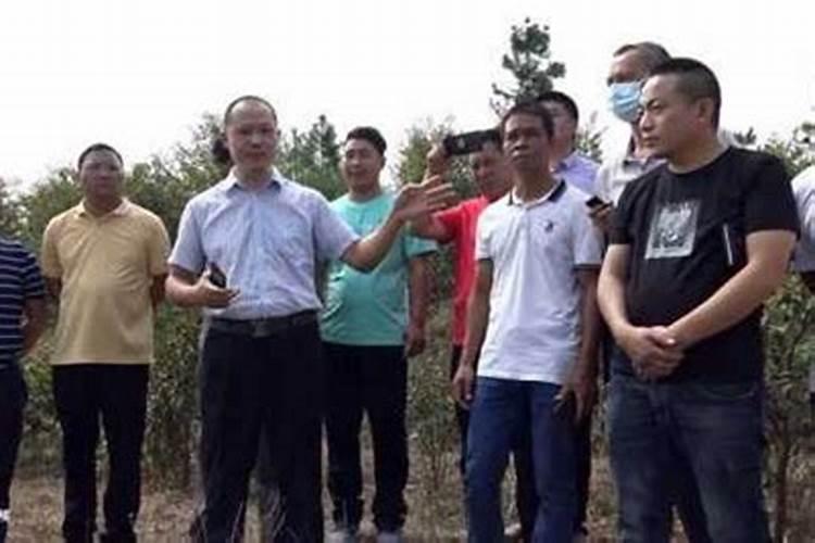 杨公风水的五雷打丁指的是什么