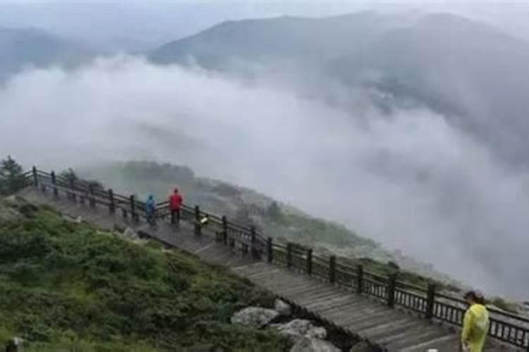 客厅放什么摆件比较吉利 客厅放哪些摆件比较吉利