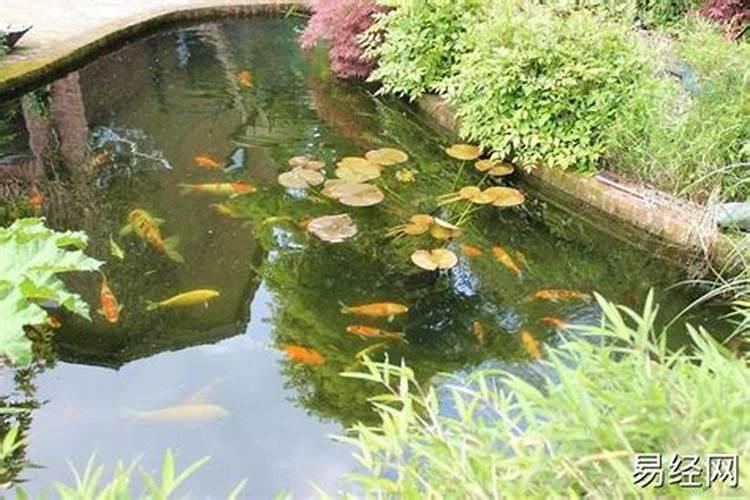 成都哪里有风水大师师傅成都哪里有风水大师店成都哪里有风水大师比较...