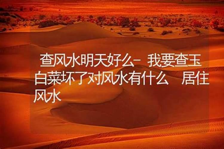 中国现在最有名的风水先生是谁,广东最有名的风水大师