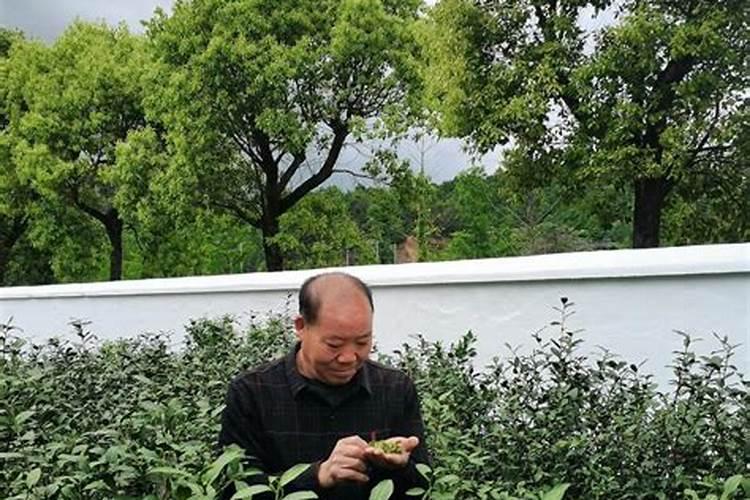 办公室风水宜忌