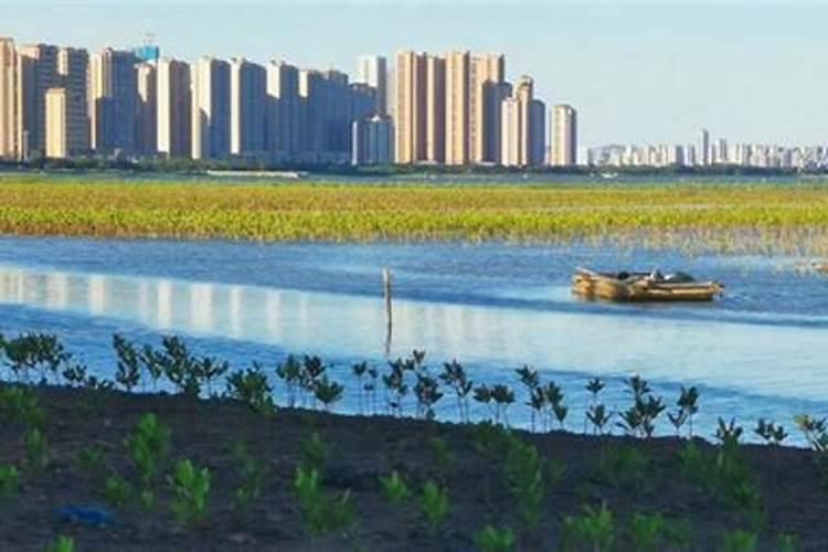 蔡伯励墓地堪舆