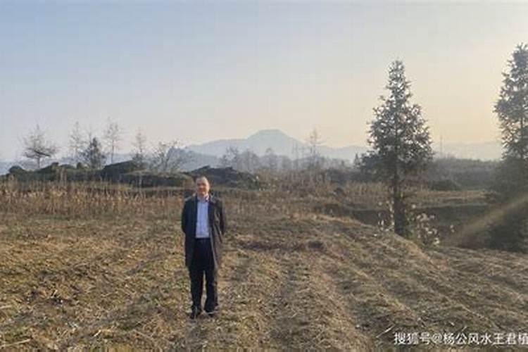 风水学中,白虎位是代表什么？