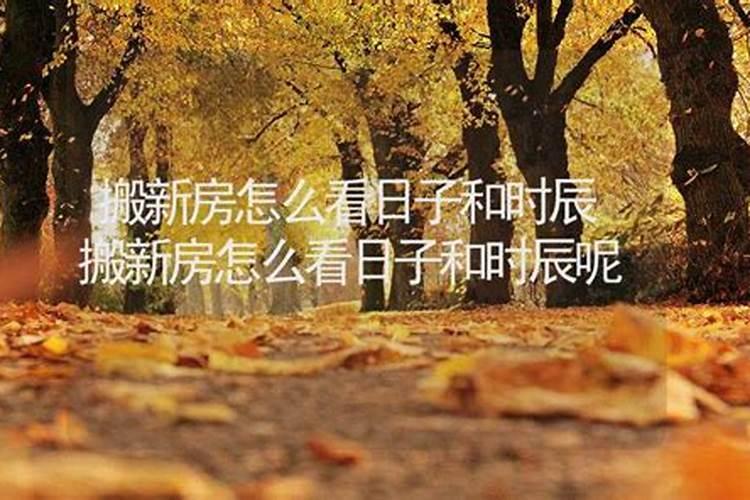择吉正五行择日法介绍
