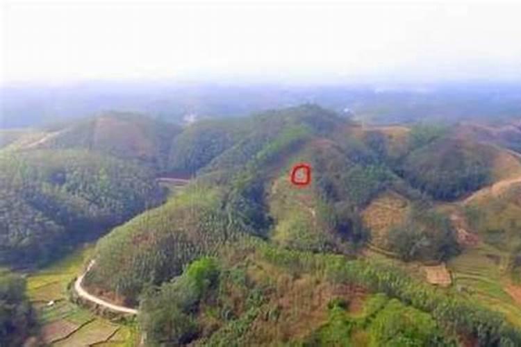 请问林元群风水师是不是帮过赌王何鸿燊种生基