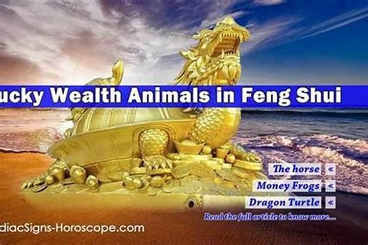 家里风水放什么能招财聚财家里风水放哪些东西能招财聚财