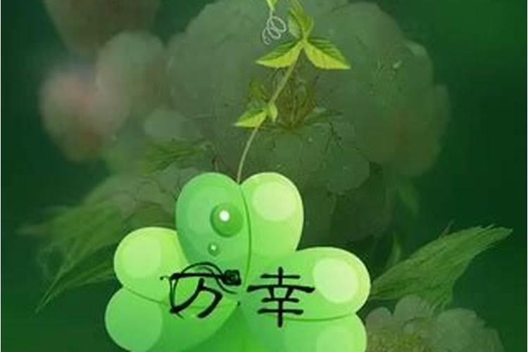 急请真正的风水大师帮我解答“房屋方位代表家族成员”的问题,万分感谢...