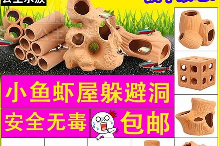 招财鱼放什么位置好