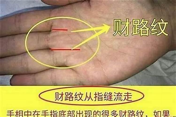 看手掌真的能看出来这个人的运势吗？