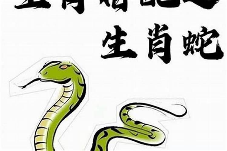 属蛇68岁的人今年阴宅坐什么方位？