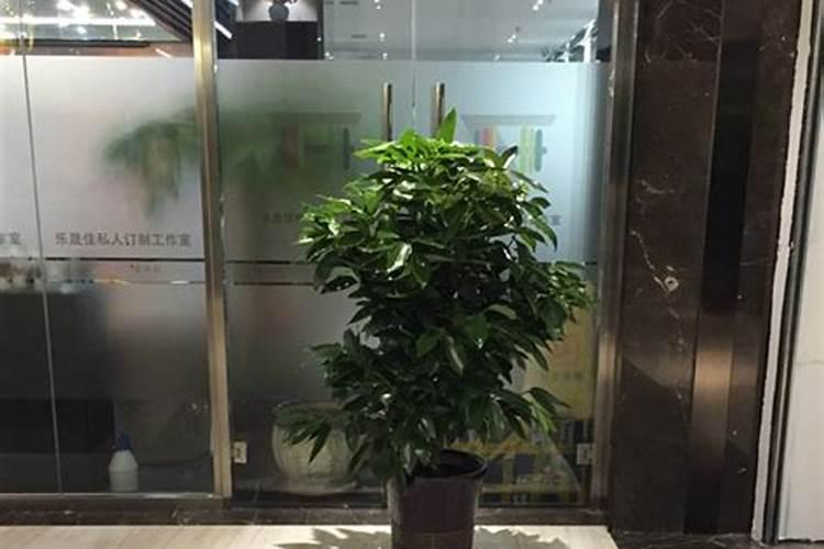 售楼办公室需要注意哪些风水