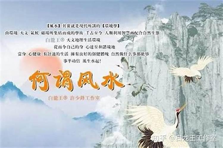 关于风水!在家的庭院里能种红豆杉吗？