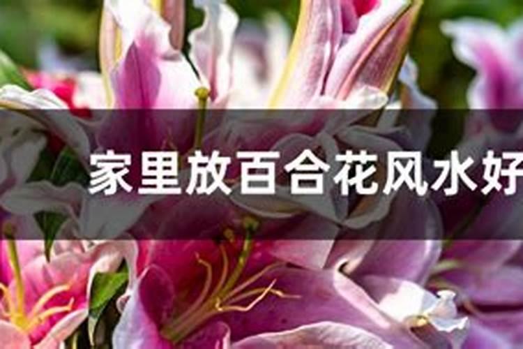 家居风水布局十大禁忌主要是什么