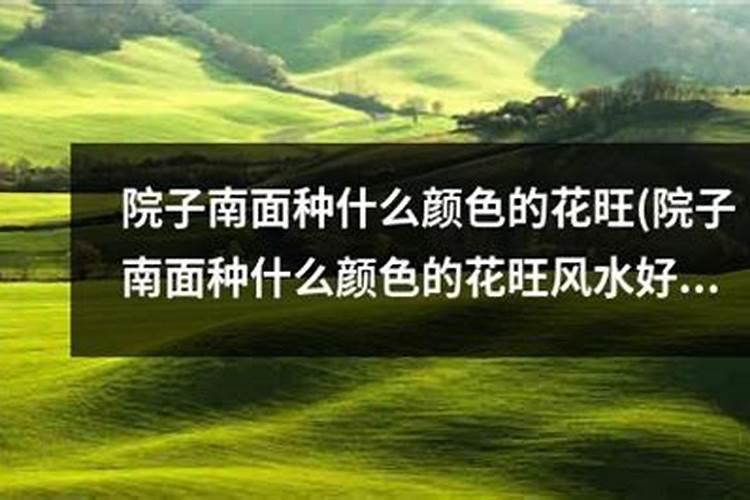 正南入户门什么颜色最旺