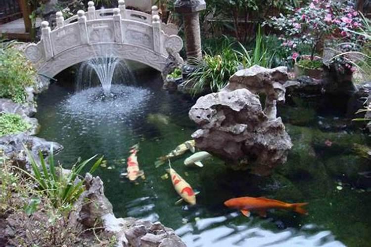 院子鱼池位置风水