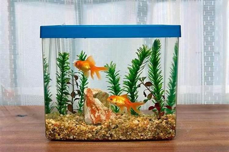 想要订做一个家庭风水鱼缸,风水鱼缸应该注意什么呢？哪里有这种风水鱼缸...