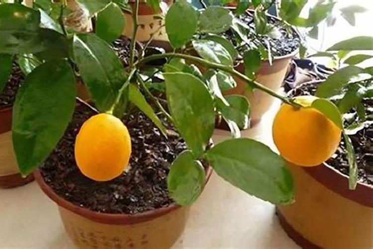 详解商品房住宅风水知识大全