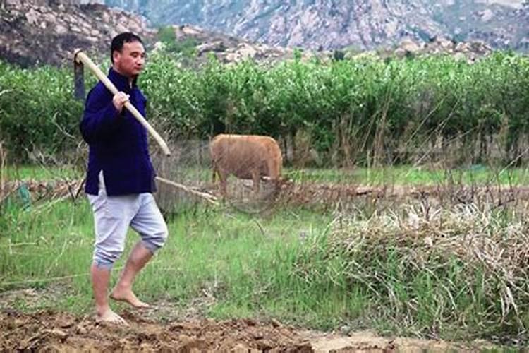 农村山上做风水是否违规