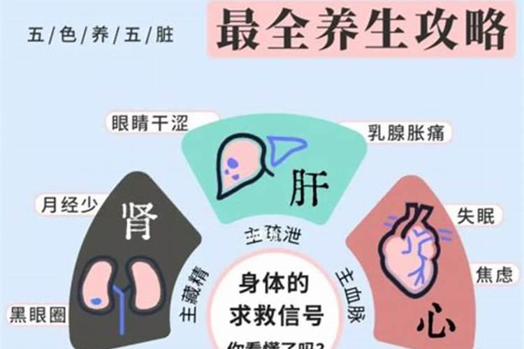 神之墓地高清版养魂瓮干嘛用