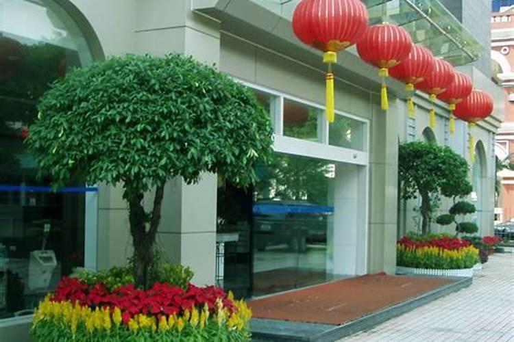 酒店门口放什么绿植招财 酒店门口放什么绿植可以招财