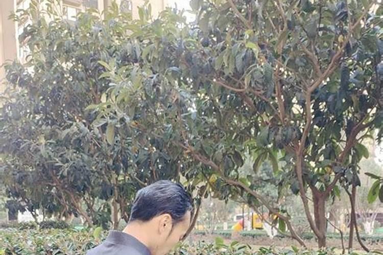 乾县中国银行在县城哪里