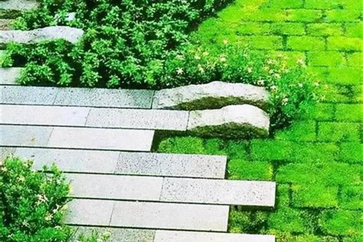 别墅后花园风水