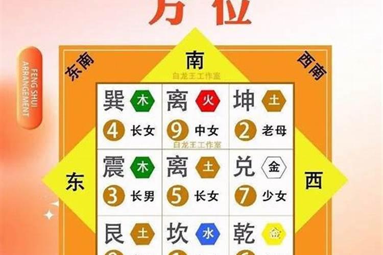 什么花树最好养最旺财