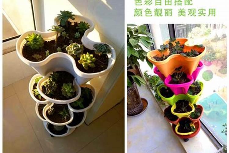 什么颜色招财并聚财,看风水,什么颜色花盆聚财
