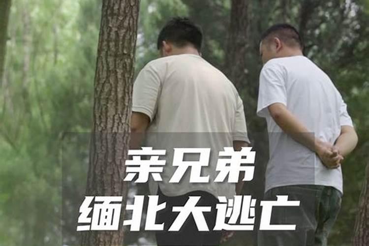 道士和风水先生有什么不同？？