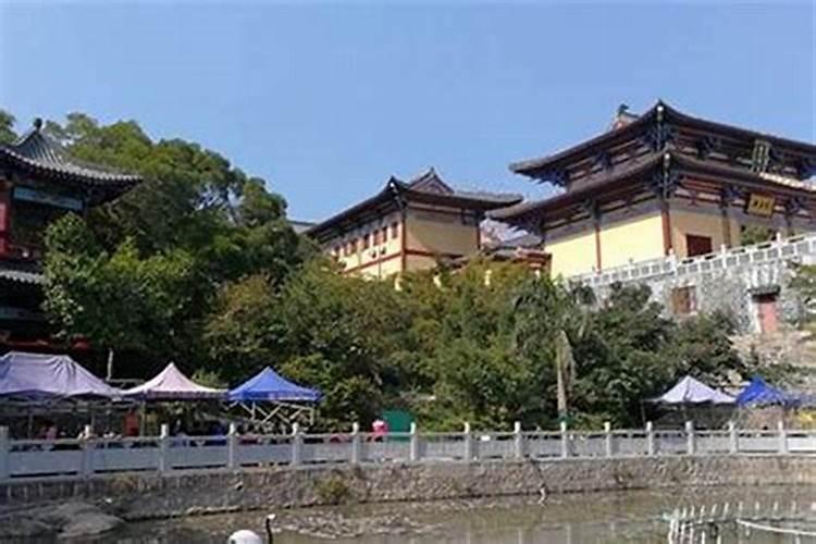 分流和车道数增加的区别是什么？