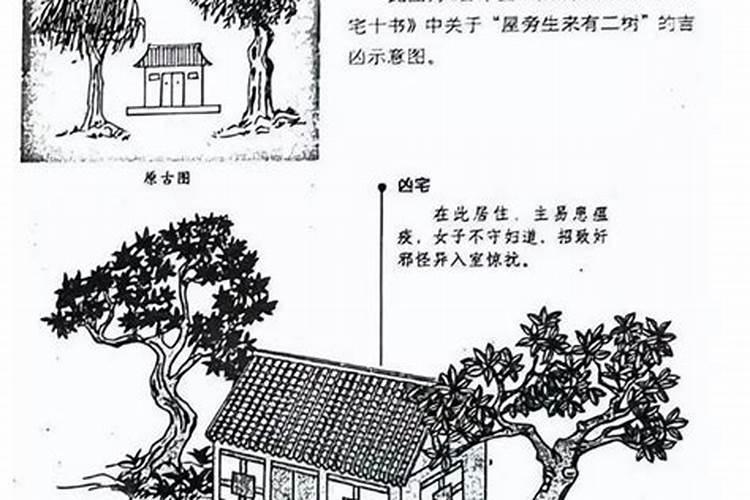 如何用风水罗盘测凶宅