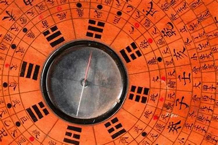 如何做小型生态鱼缸？自己动手制作生态缸需要注意些什么？