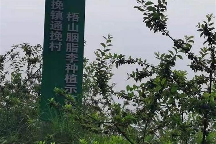 通挽镇地形地貌