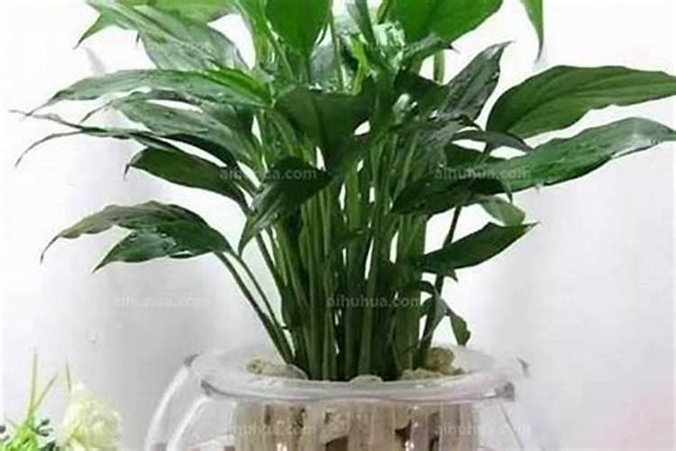 别墅家具摆放风水,别墅风水布局