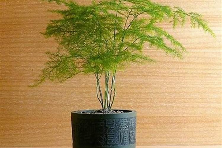 夫妻不和用什么东西化解