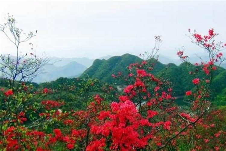 湖北古民居的鄂南地区