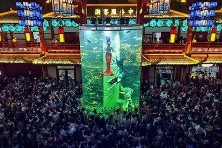判断住宅旺不旺看看这些风水