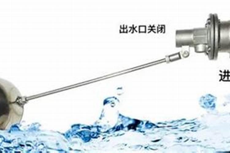 房子后面有墓地种什么树避邪风水好？