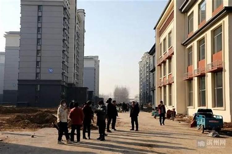 邹平各镇大集的时间安排是怎样的？