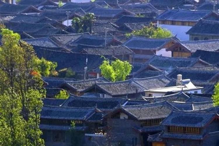 杨卓成风水大师——杨卓成