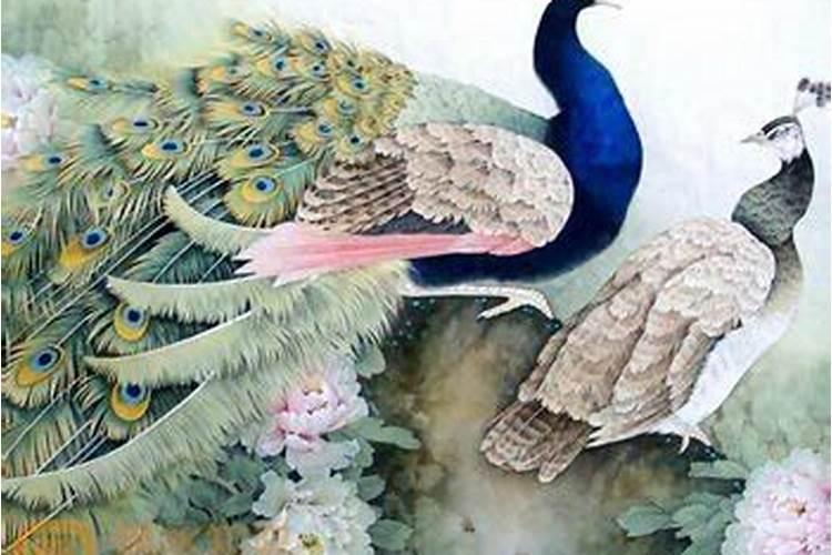 家养孔雀对风水好吗？
