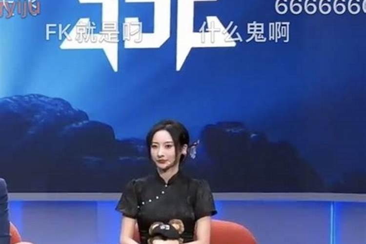 麦玲玲社会贡献