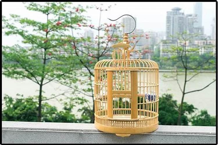 家里有空鸟笼不吉利吗