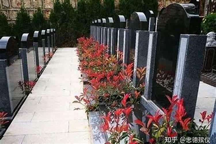 墓地风水应放什么东西辟邪