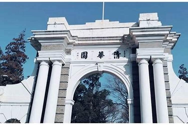 用水草缸养泰斗怎么养？需要注意些什么？