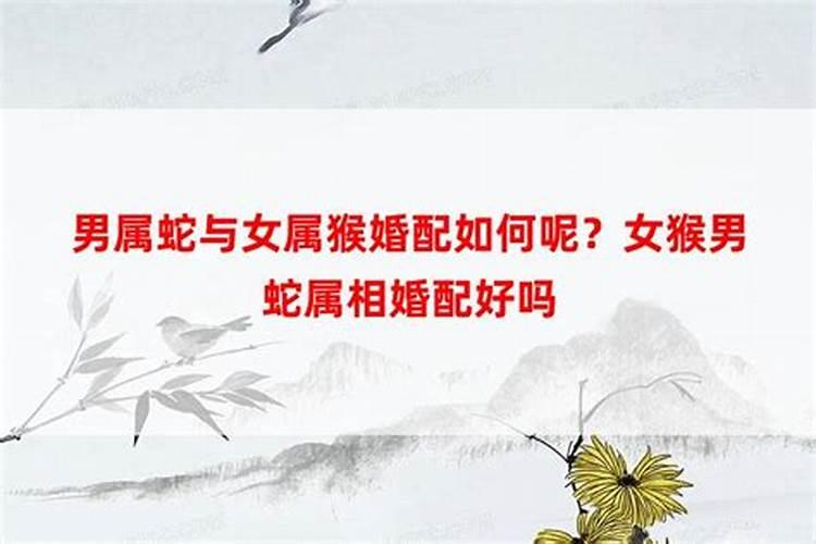 属猴楼层风水知识 生肖猴适合的楼层