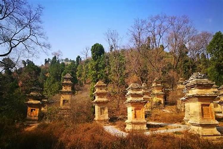 《鬼吹灯》的观看顺序是什么呢